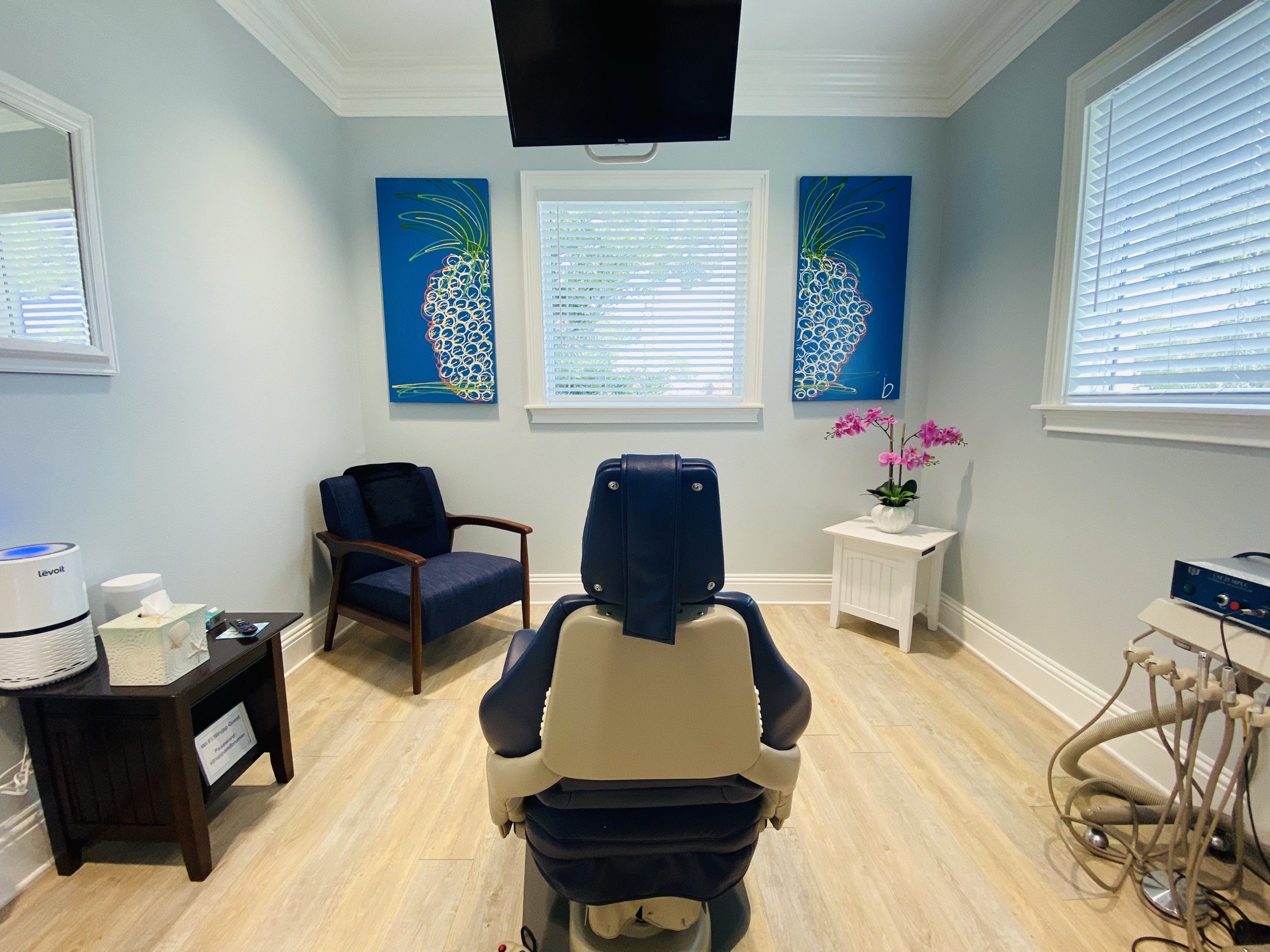 Private treatment suite at Strupp & Brumm — full-sized closed-door room with natural Gulf Coast light, Clearwater, FL